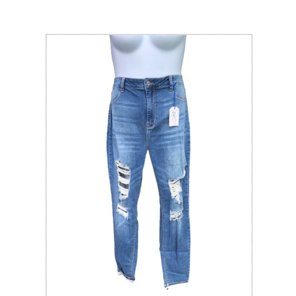 ms cello jeans plus size